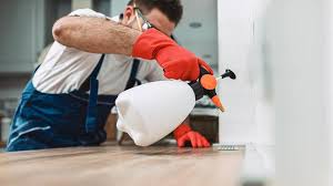 Best Pest Exclusion Services  in Stratmoor, CO